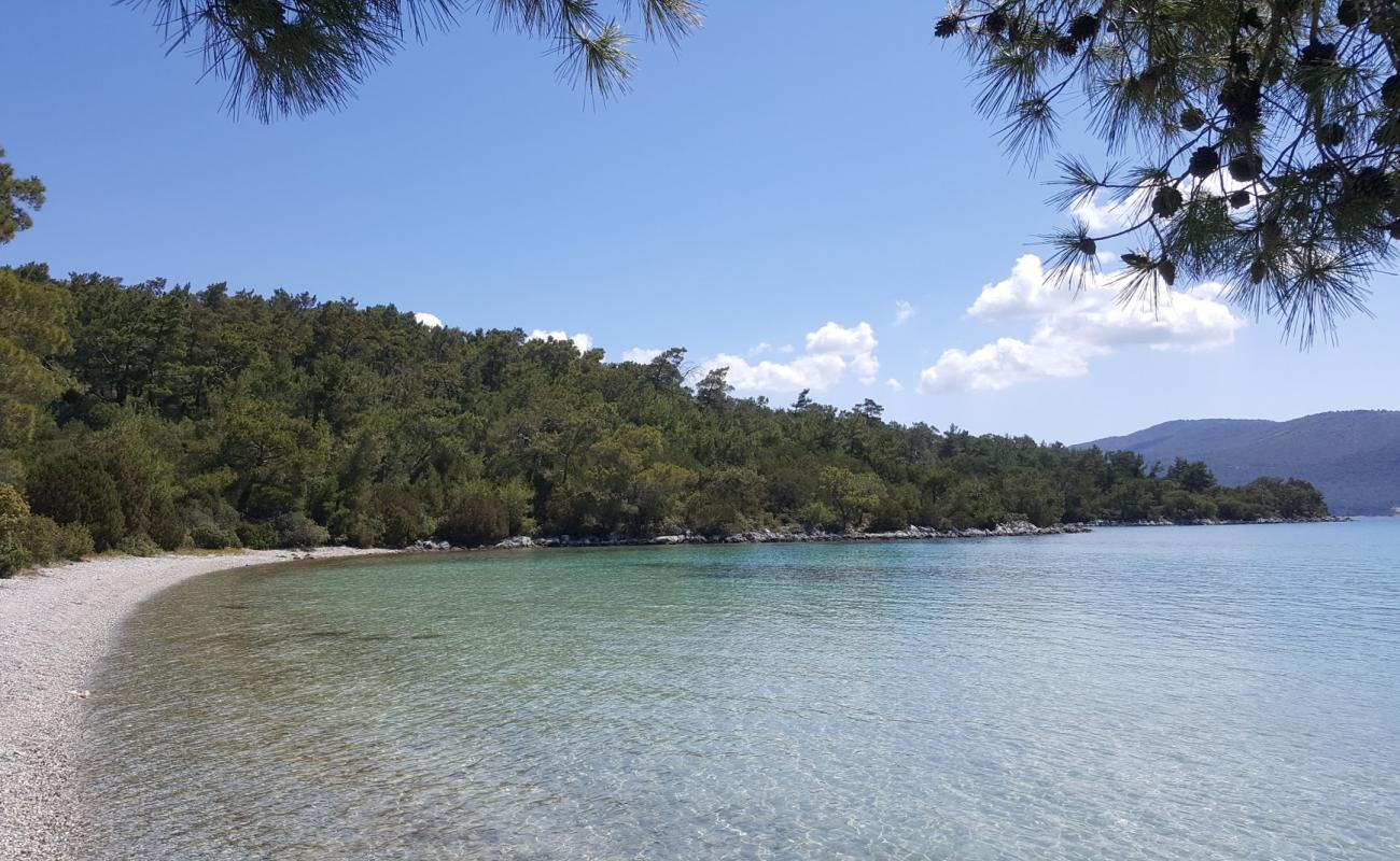 Photo de Iron Cove Beach avec galets beige de surface