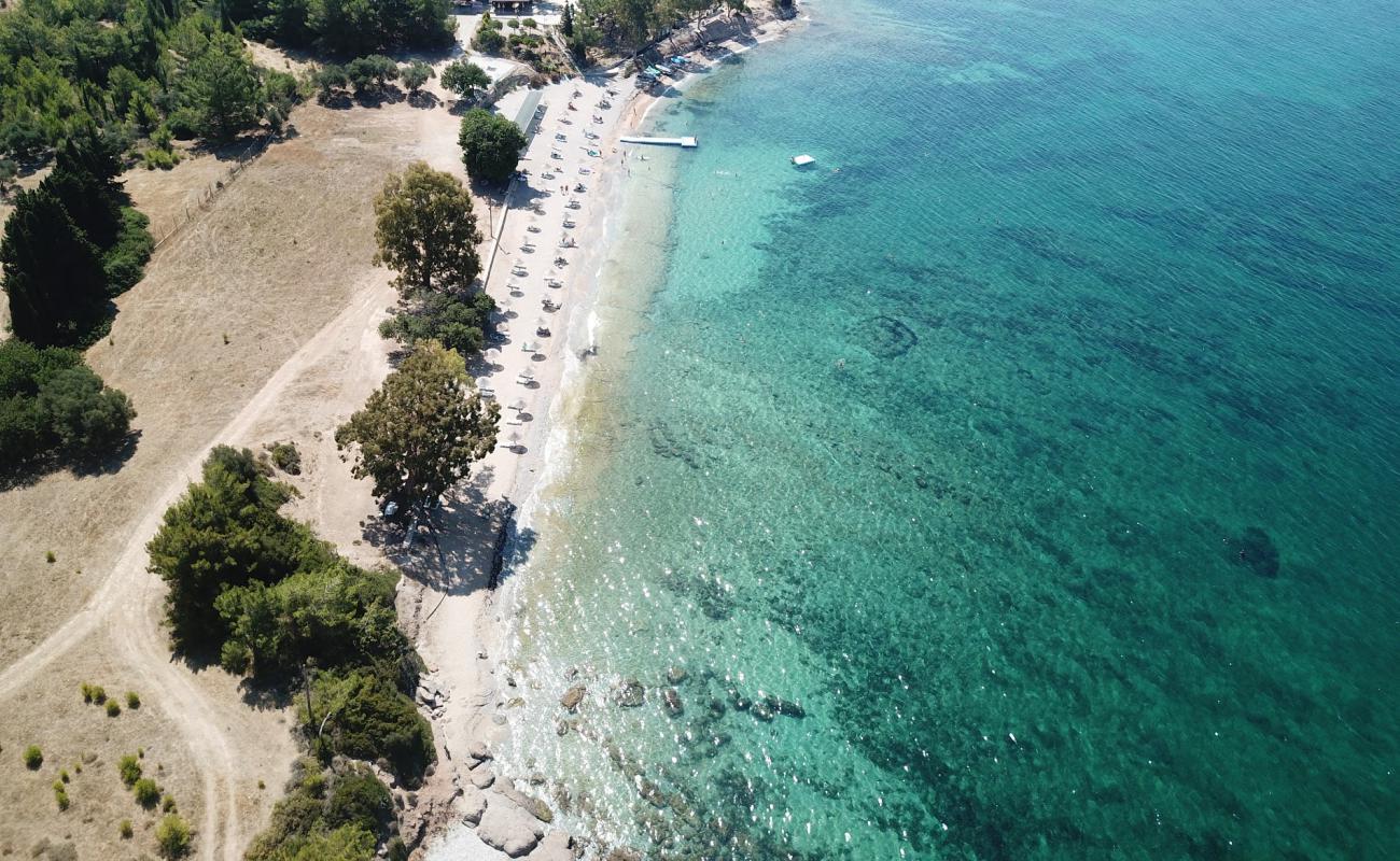 Photo de Lalekent Beach avec sable beige de surface