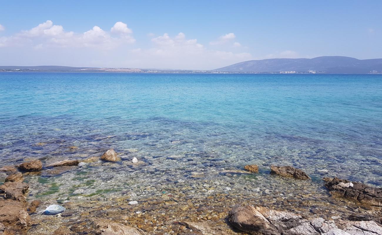 Photo de Empty Beach avec roches de surface