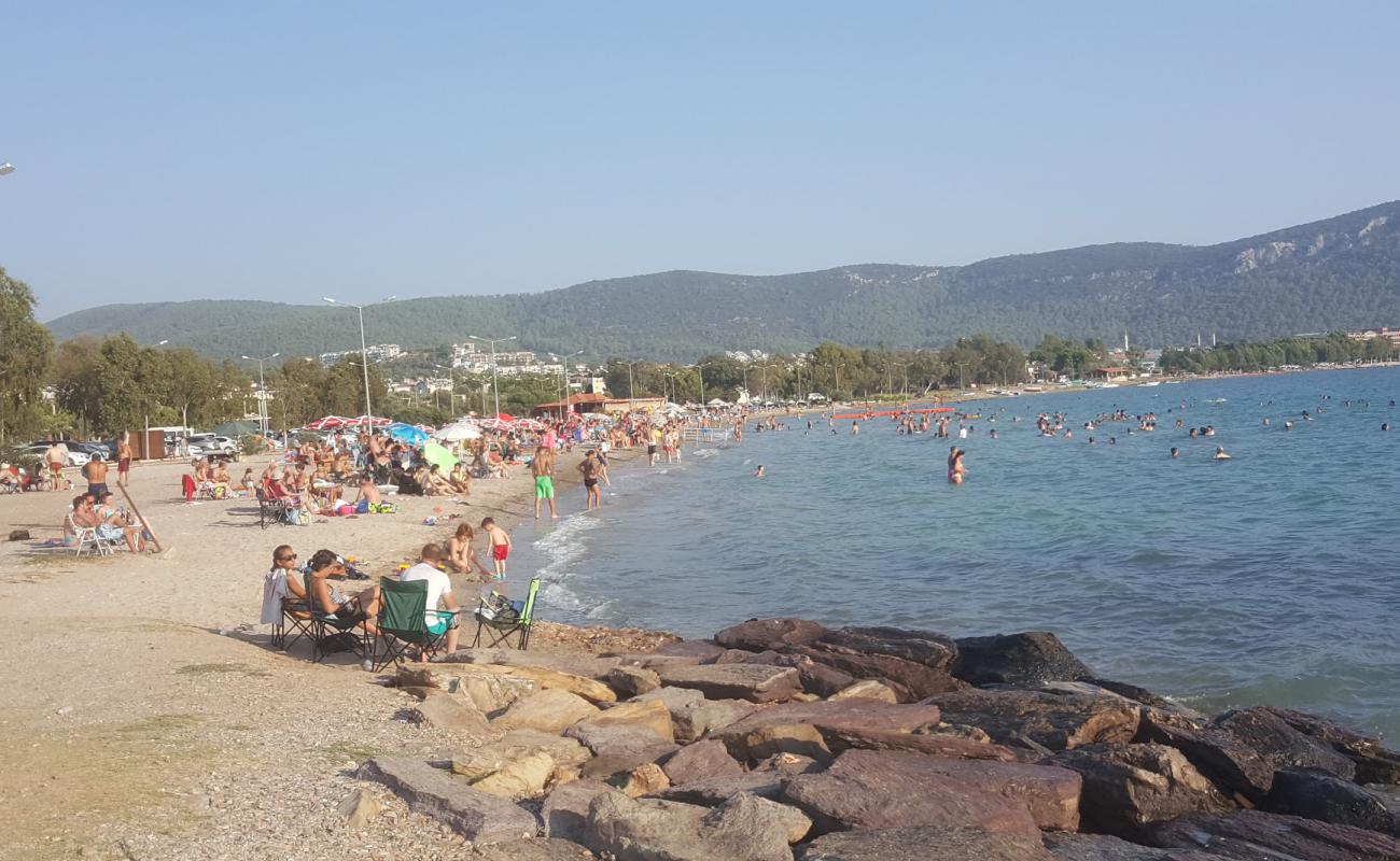 Photo de Gulkent beach avec sable clair avec caillou de surface