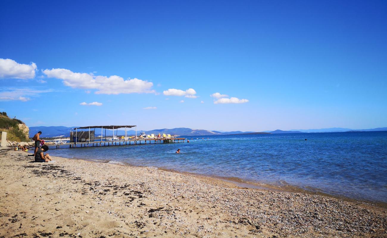 Photo de Didim beach IV avec sable brun de surface