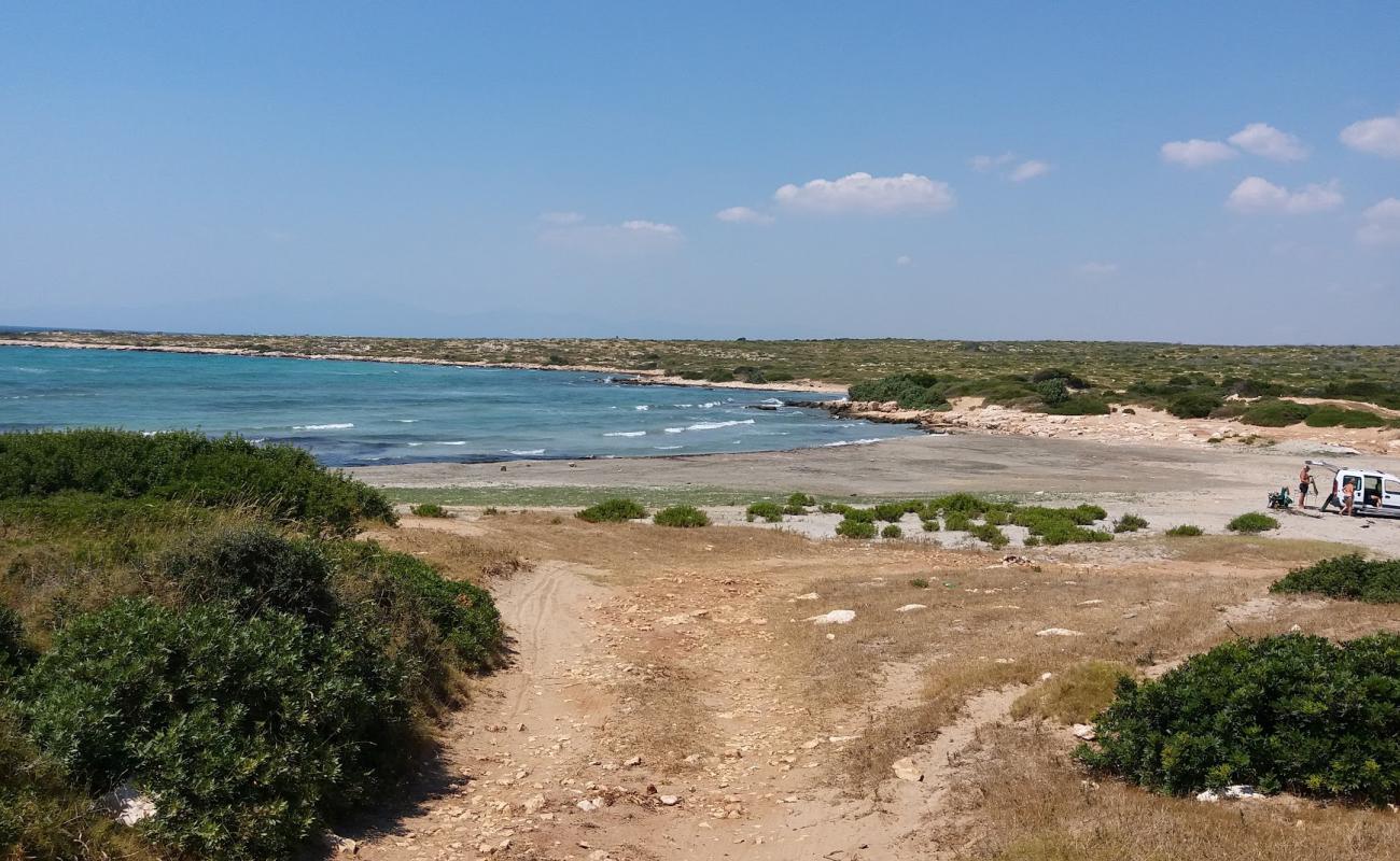 Photo de Zirtlan Deligi avec sable gris de surface