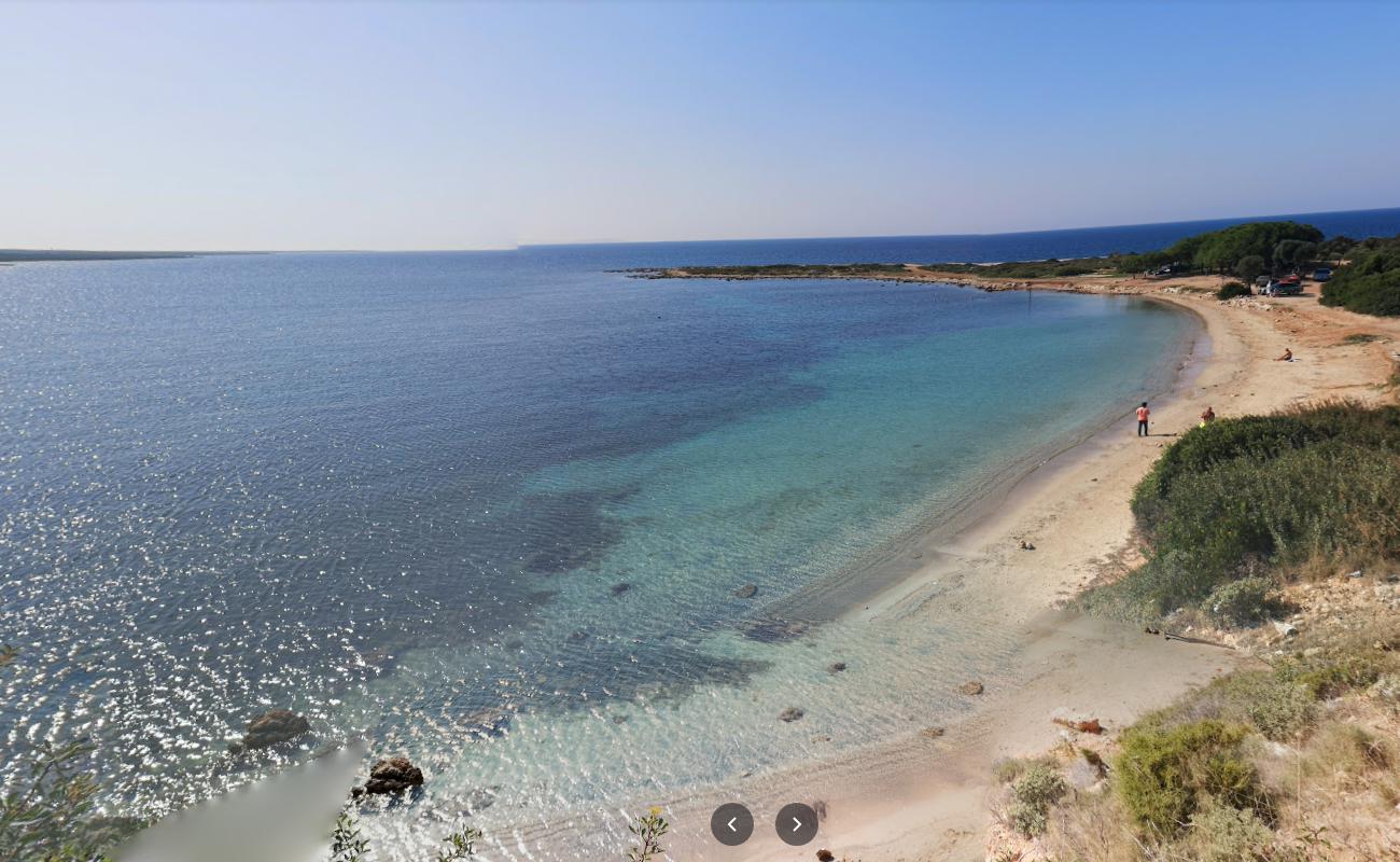 Photo de Mustafa Dayinin Kamp avec petite baie