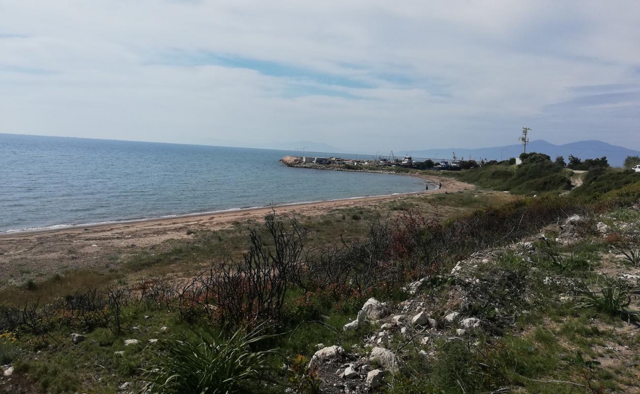 Photo de Gulbahce beach IV avec sable lumineux de surface