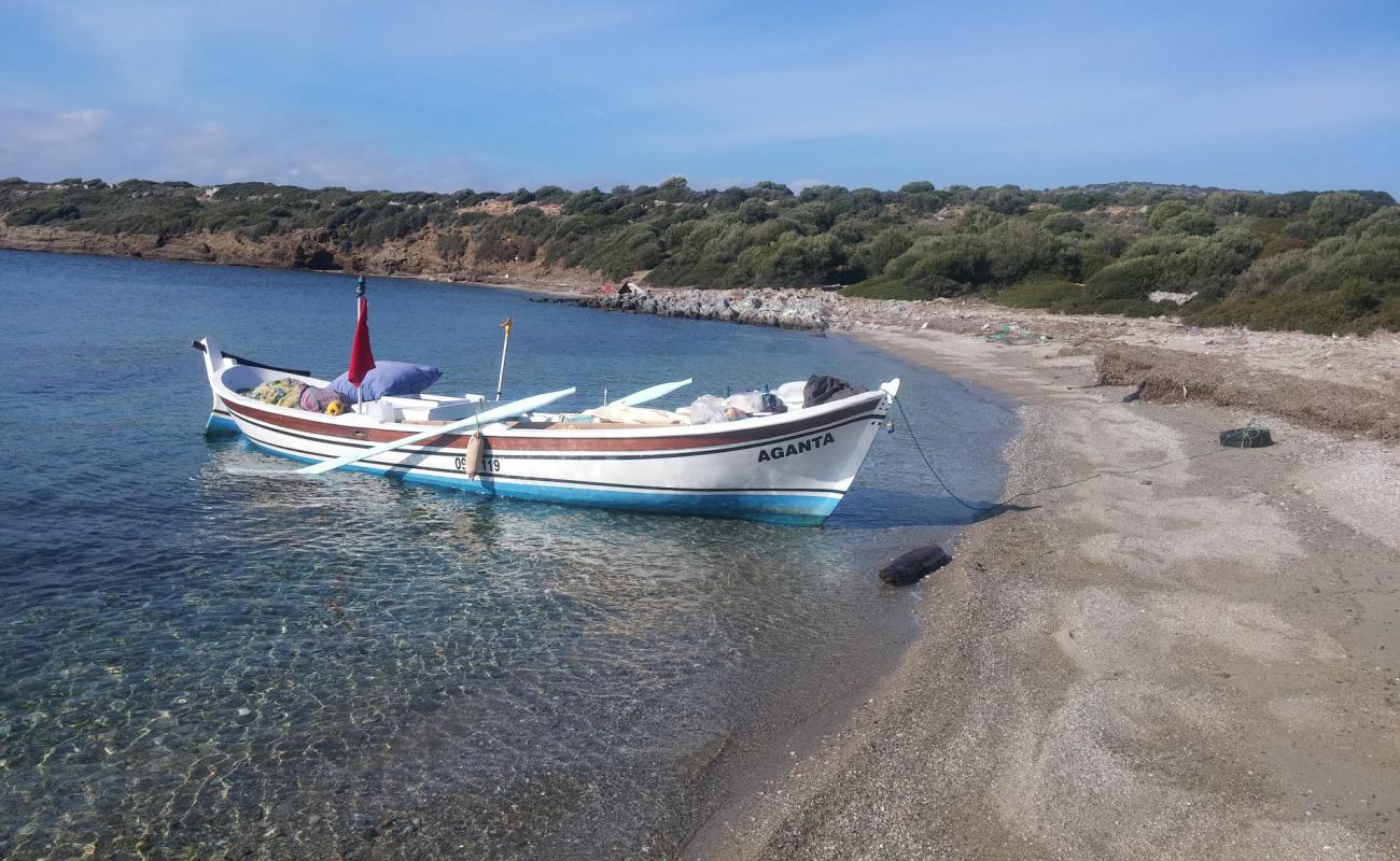 Photo de Little Nero Cove avec caillou fin clair de surface