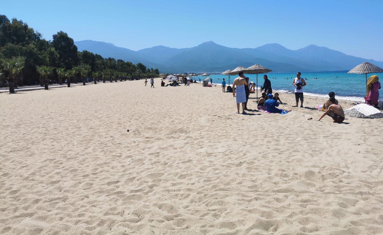 Photo de Kusadasi beach II avec sable lumineux de surface