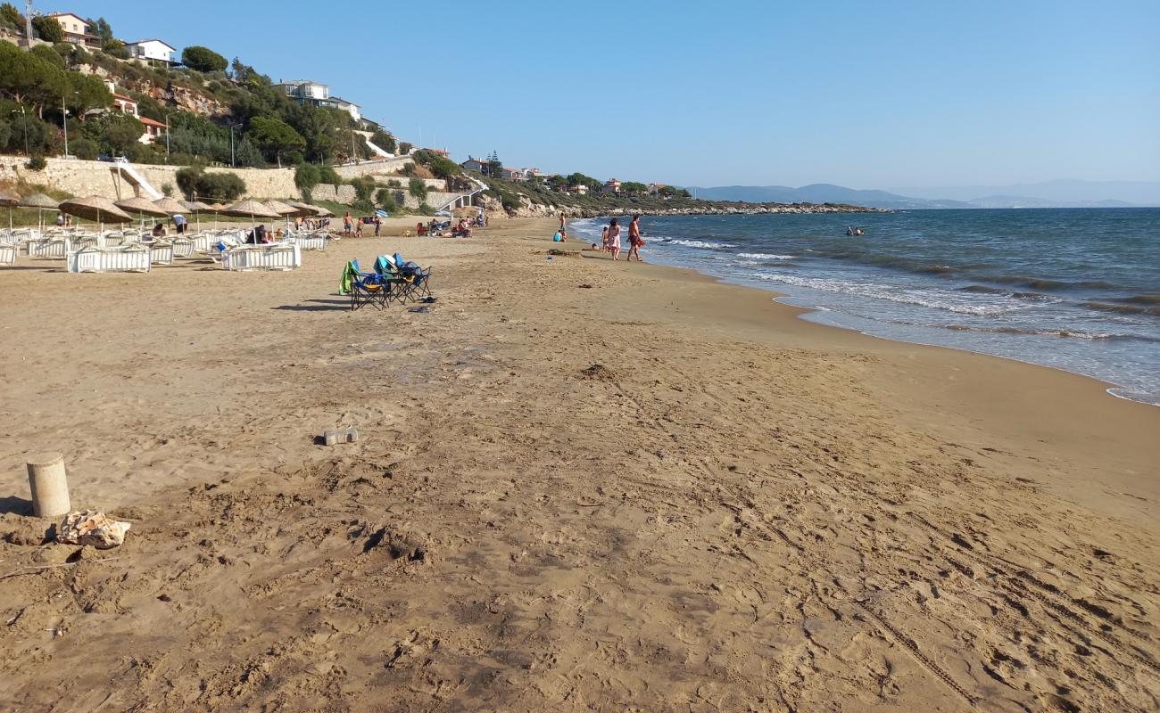 Photo de Yoncakoy beach avec sable brun de surface