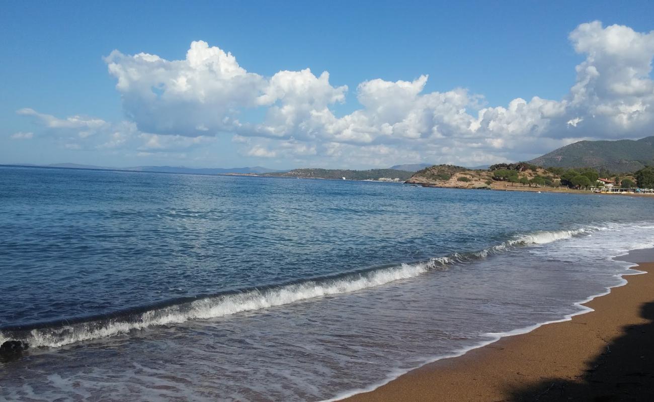 Photo de Sukuralti beach II avec sable brun de surface