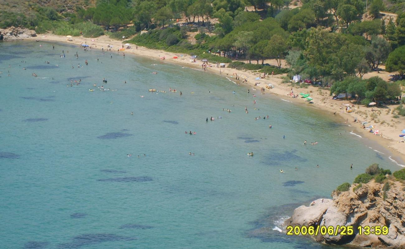 Photo de Sahil Yolu Cd. beach avec sable brun de surface