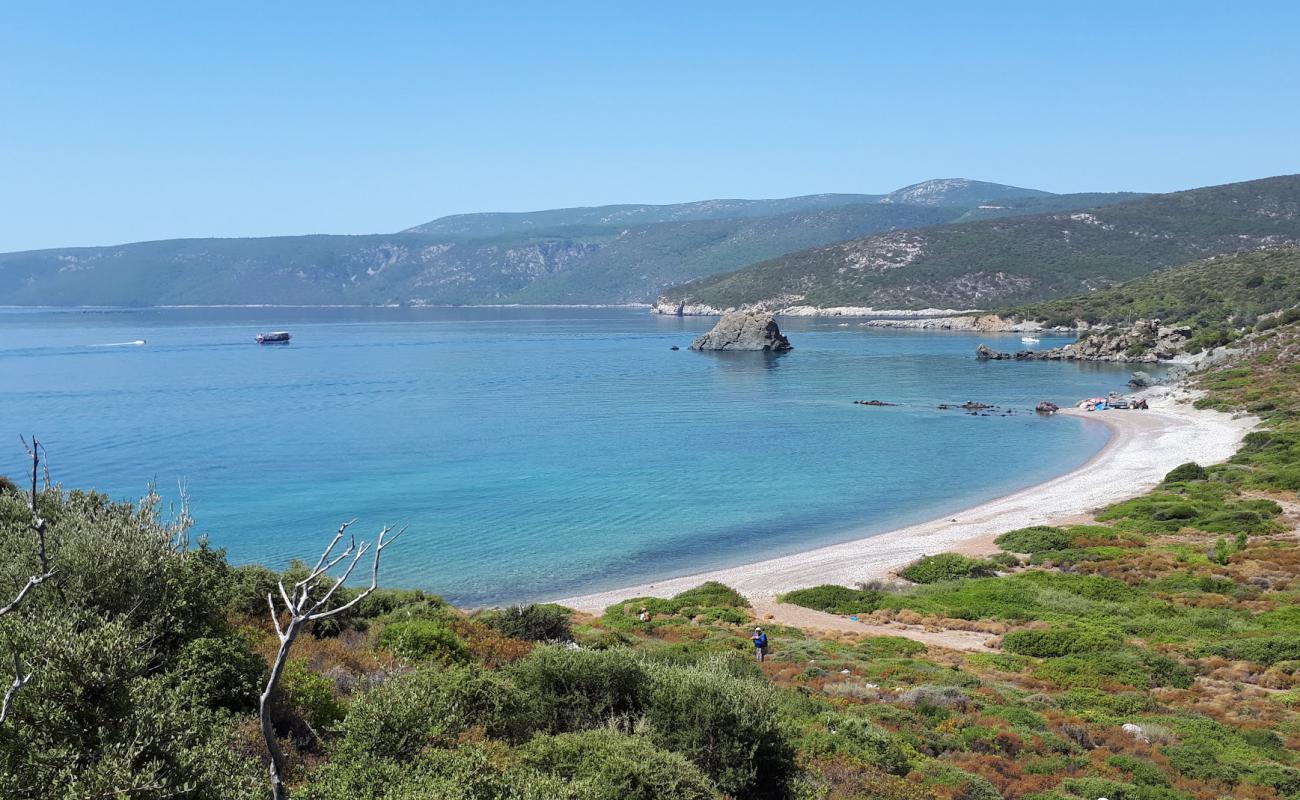 Photo de Demircili Plaji II avec galets gris de surface