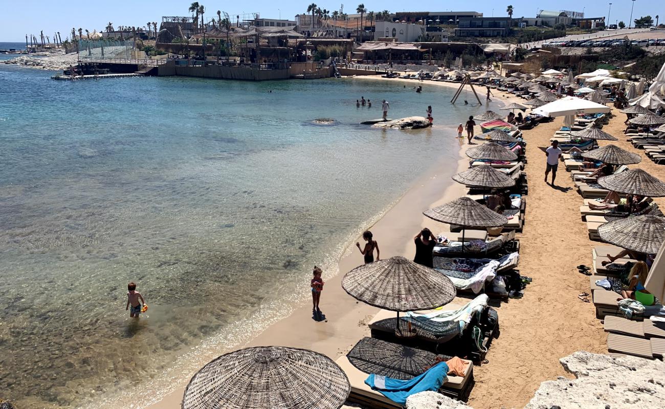 Photo de Madeo Beach avec sable beige fin de surface