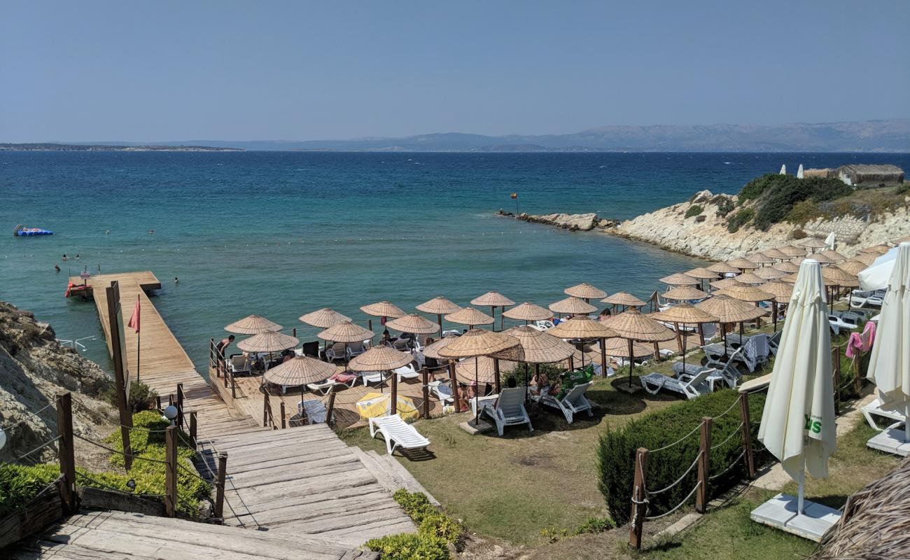 Photo de Dilaila Beach avec surface béton pavée de surface