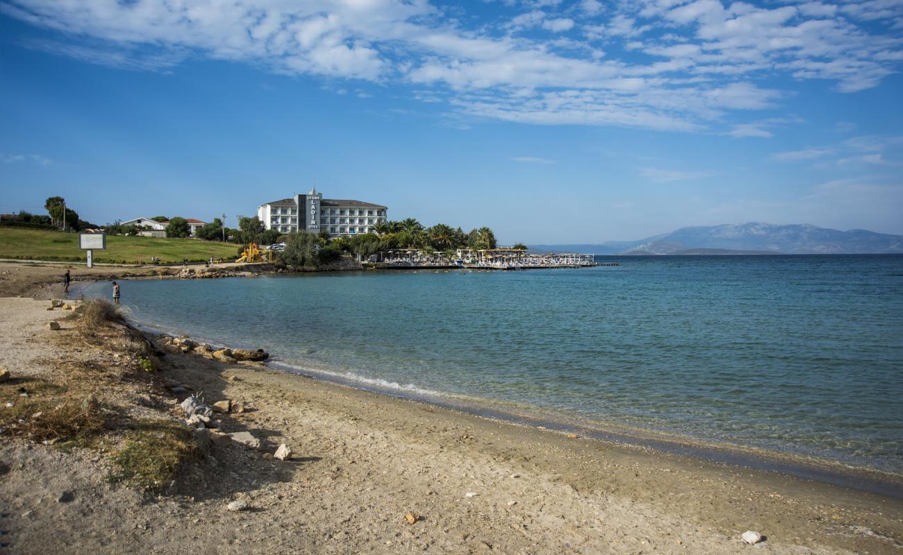 Photo de Palmiye beach avec sable beige de surface