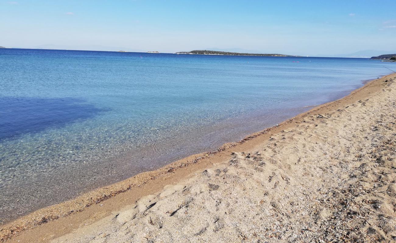 Photo de Yat Limani Beach avec sable brun de surface
