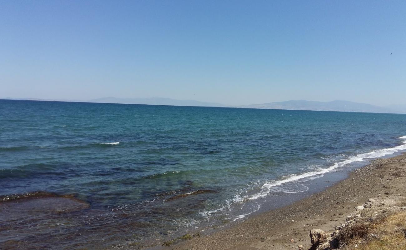 Photo de Zeytinalani Beach avec sable noir & galets de surface
