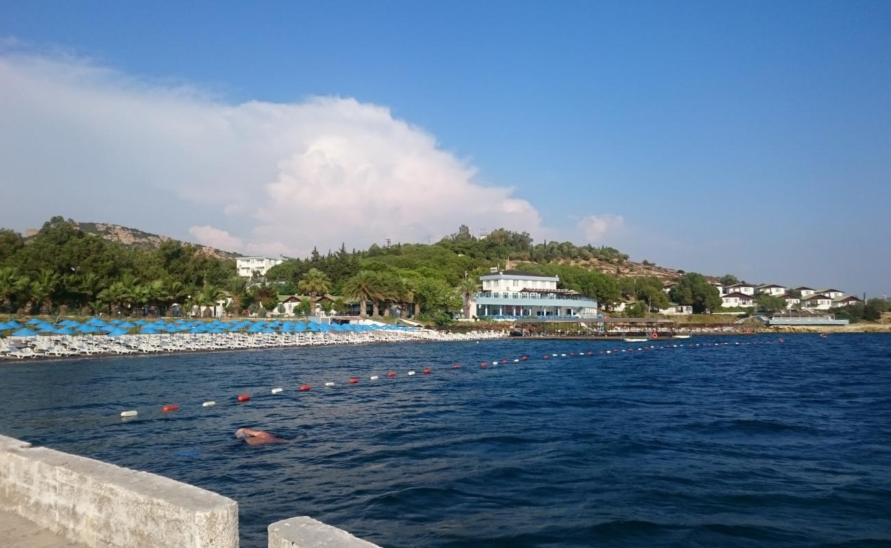 Photo de Foca beach avec sable brun de surface