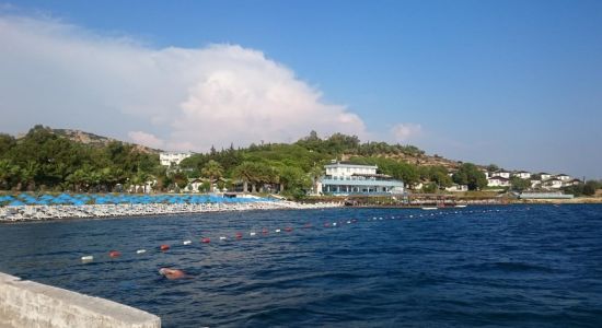 Foca beach