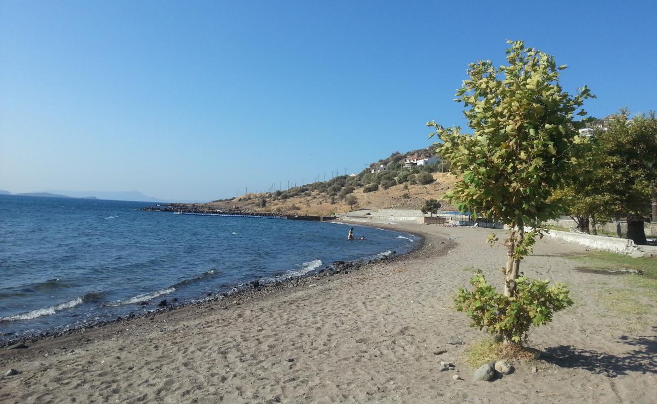 Photo de Eyko beach avec sable lumineux de surface