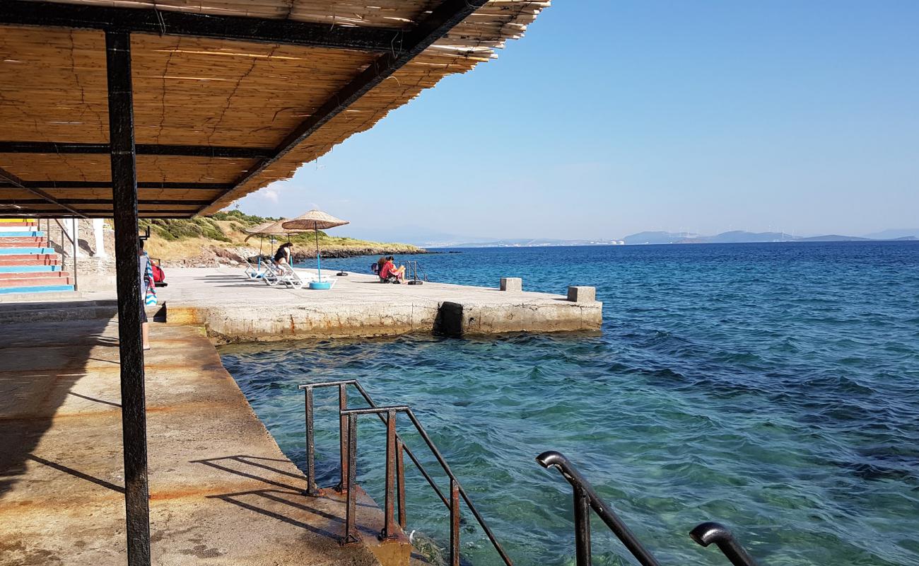 Photo de Aquarium beach avec béton de surface