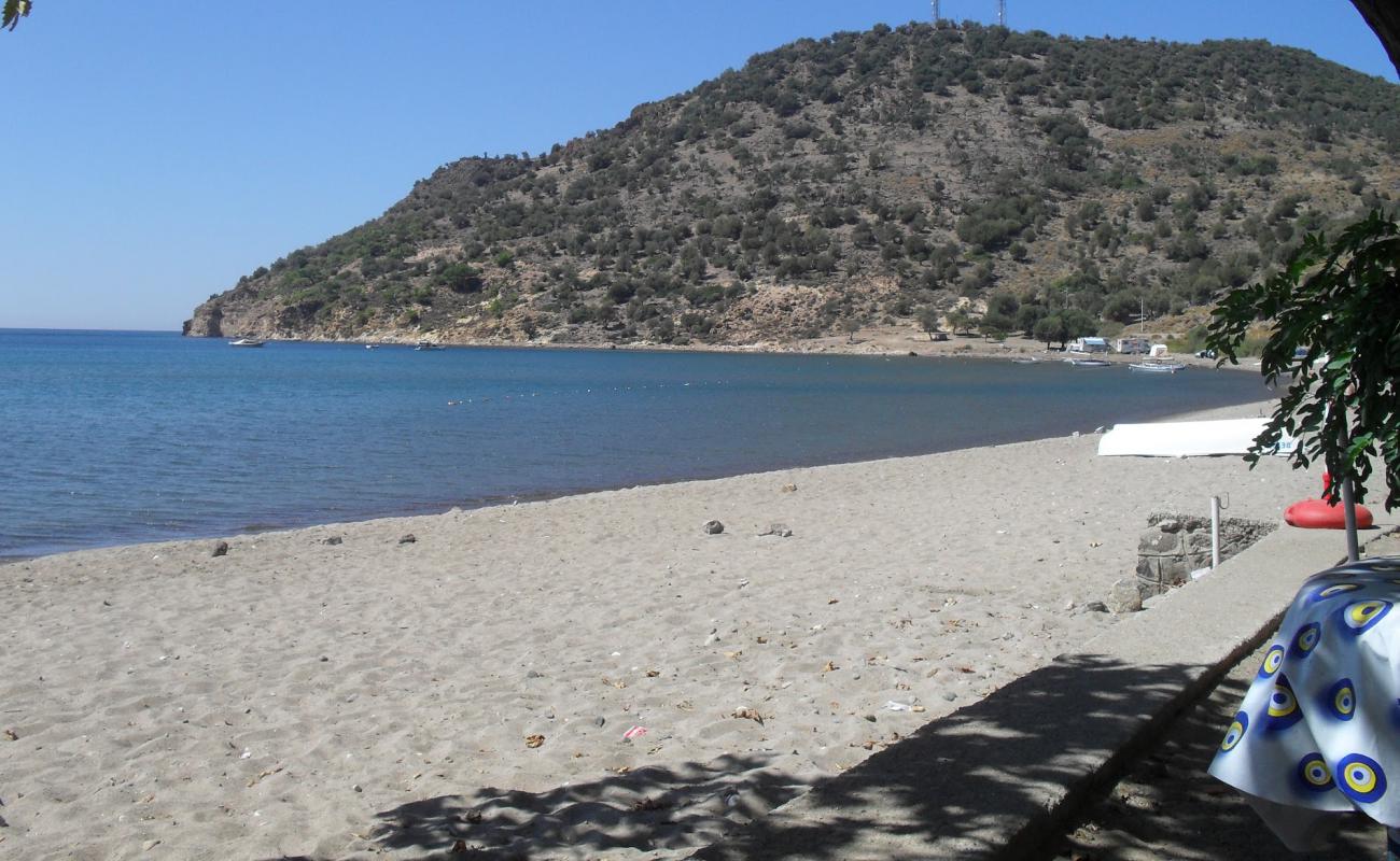 Photo de Denizkoy beach avec sable beige de surface