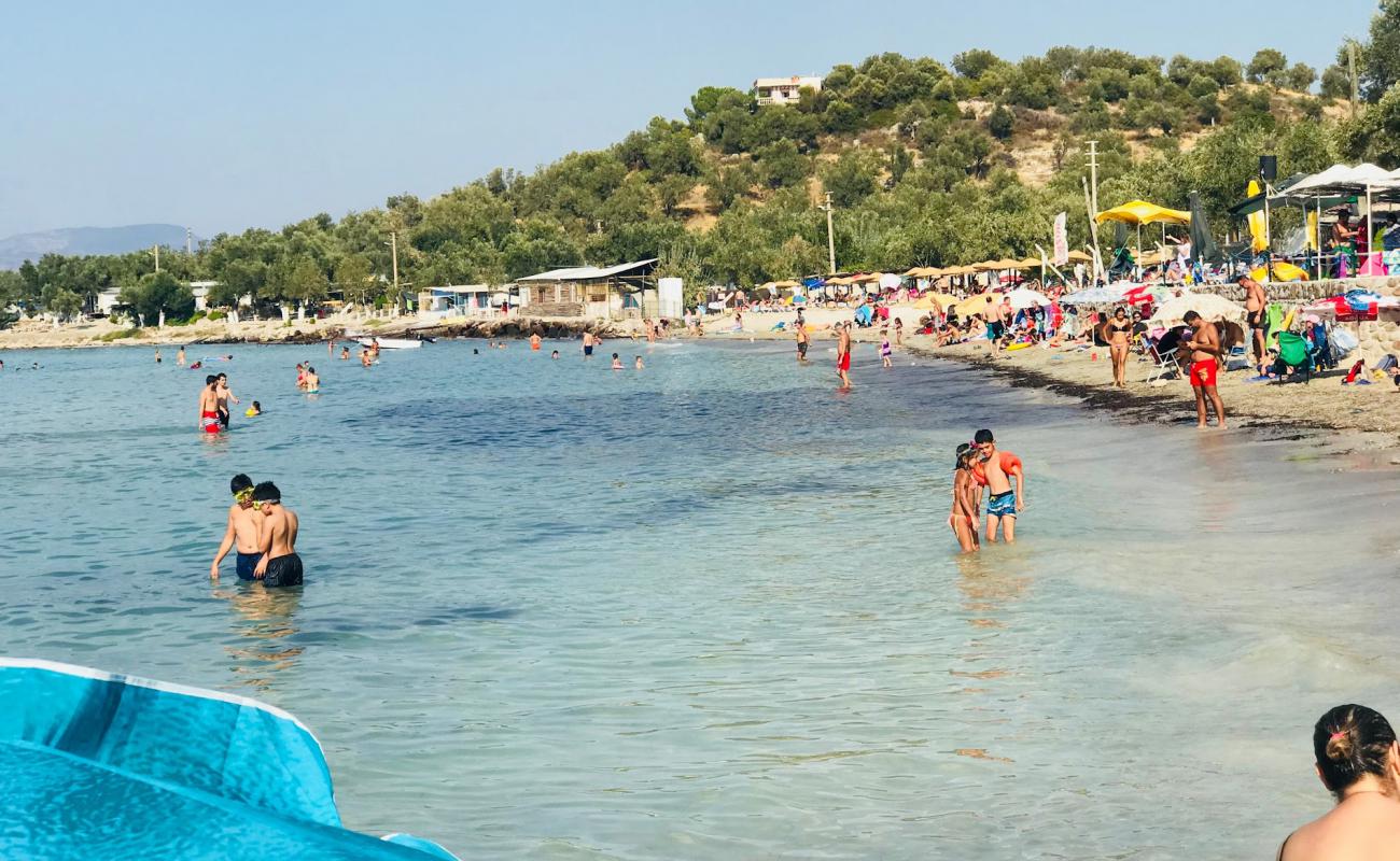 Photo de Killik Koyu beach avec sable lumineux de surface