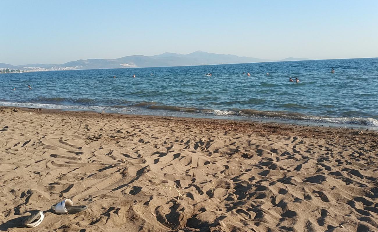 Photo de Tek Cinar beach avec sable lumineux de surface