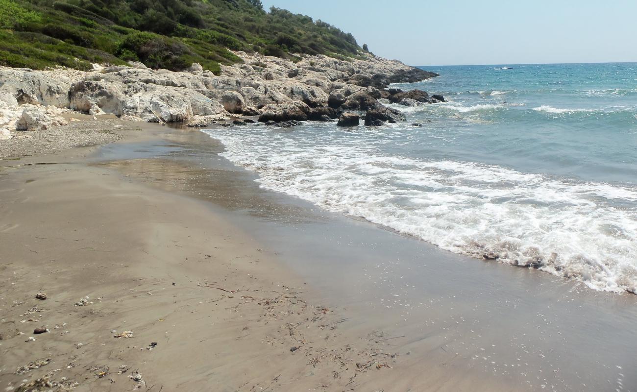 Photo de Leech Beach II avec sable brun de surface