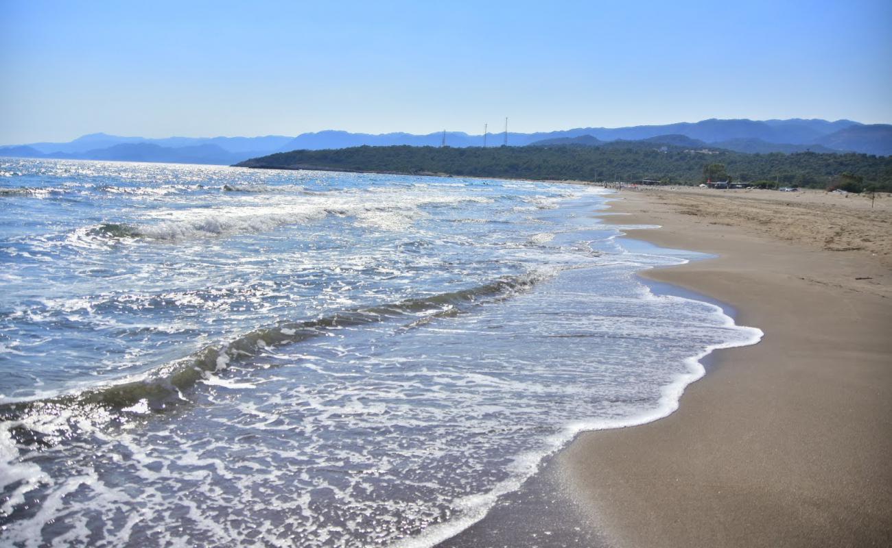 Photo de Leech Beach avec sable gris de surface