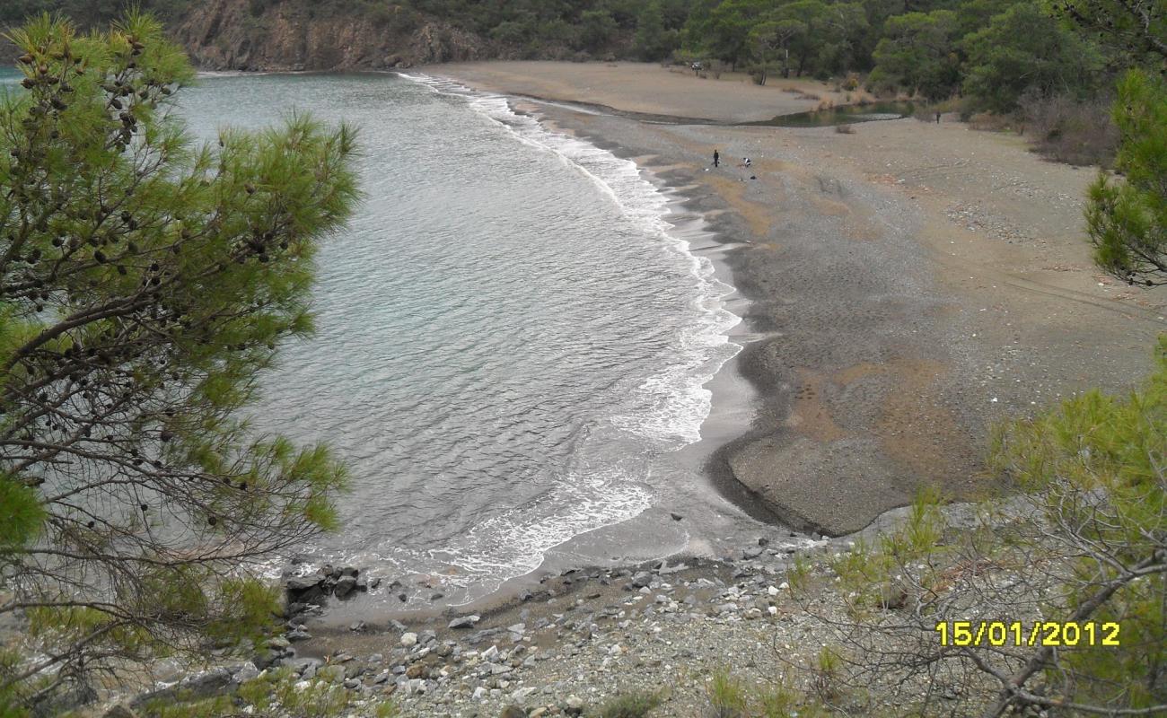 Photo de Tekirova Beach II avec sable noir & galets de surface