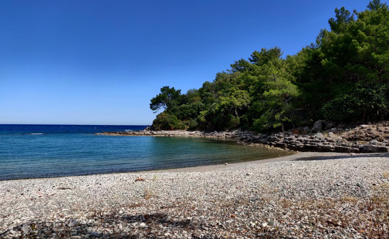 Photo de Phaselis beach avec sable noir avec caillou de surface