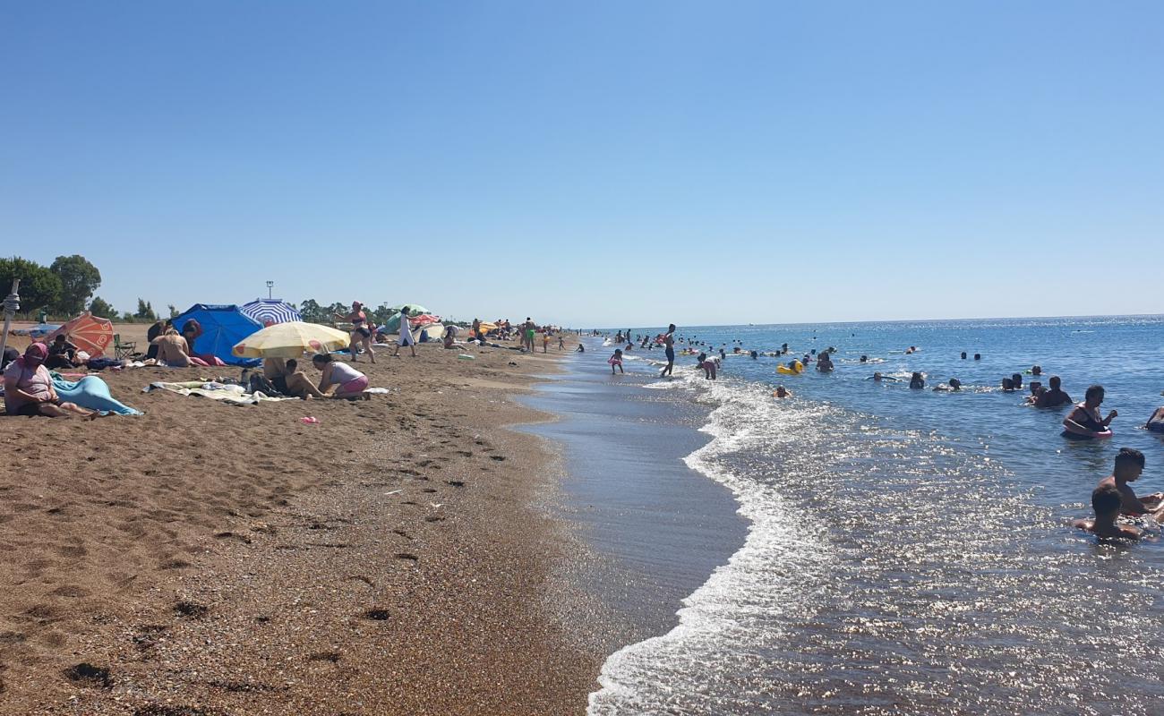 Photo de Plage de Lara avec sable brun de surface