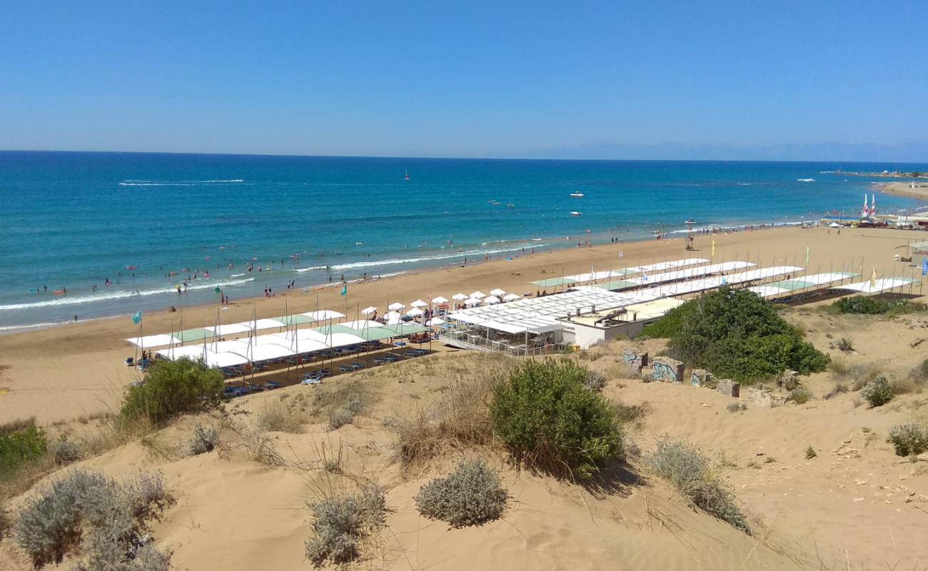 Photo de Terrace Resort beach avec sable brun de surface