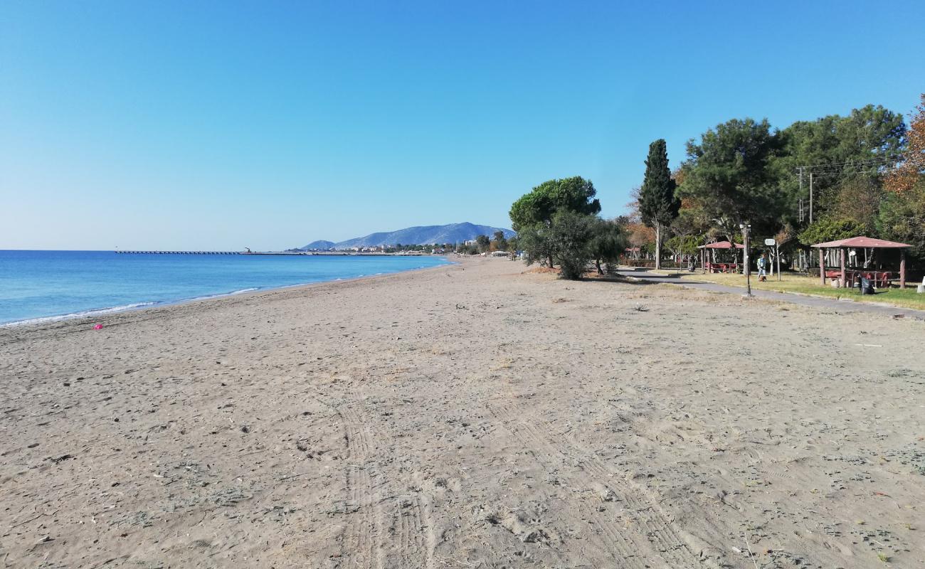 Photo de Anamur beach avec sable brun de surface