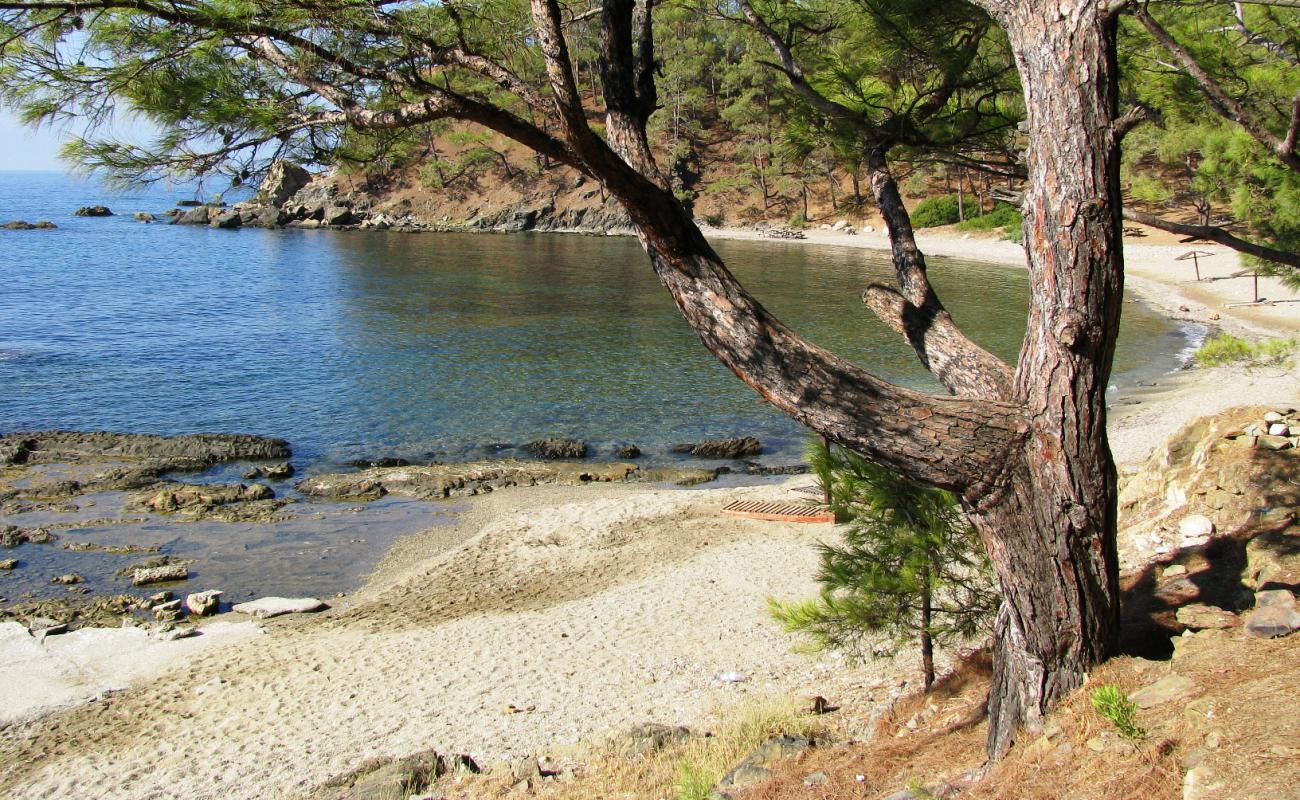 Photo de Pullu beach avec sable beige & galets de surface