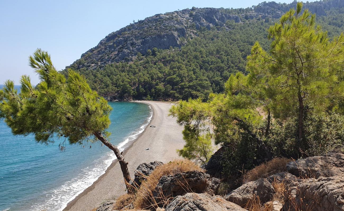 Photo de Prince Charles Bay avec galets beige de surface