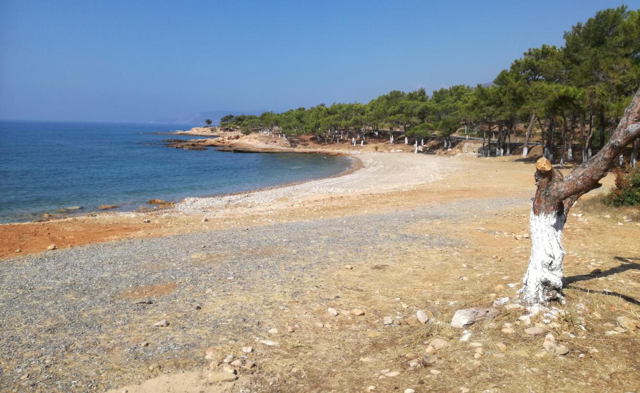 Photo de Yesilovacik beach avec galets beige de surface