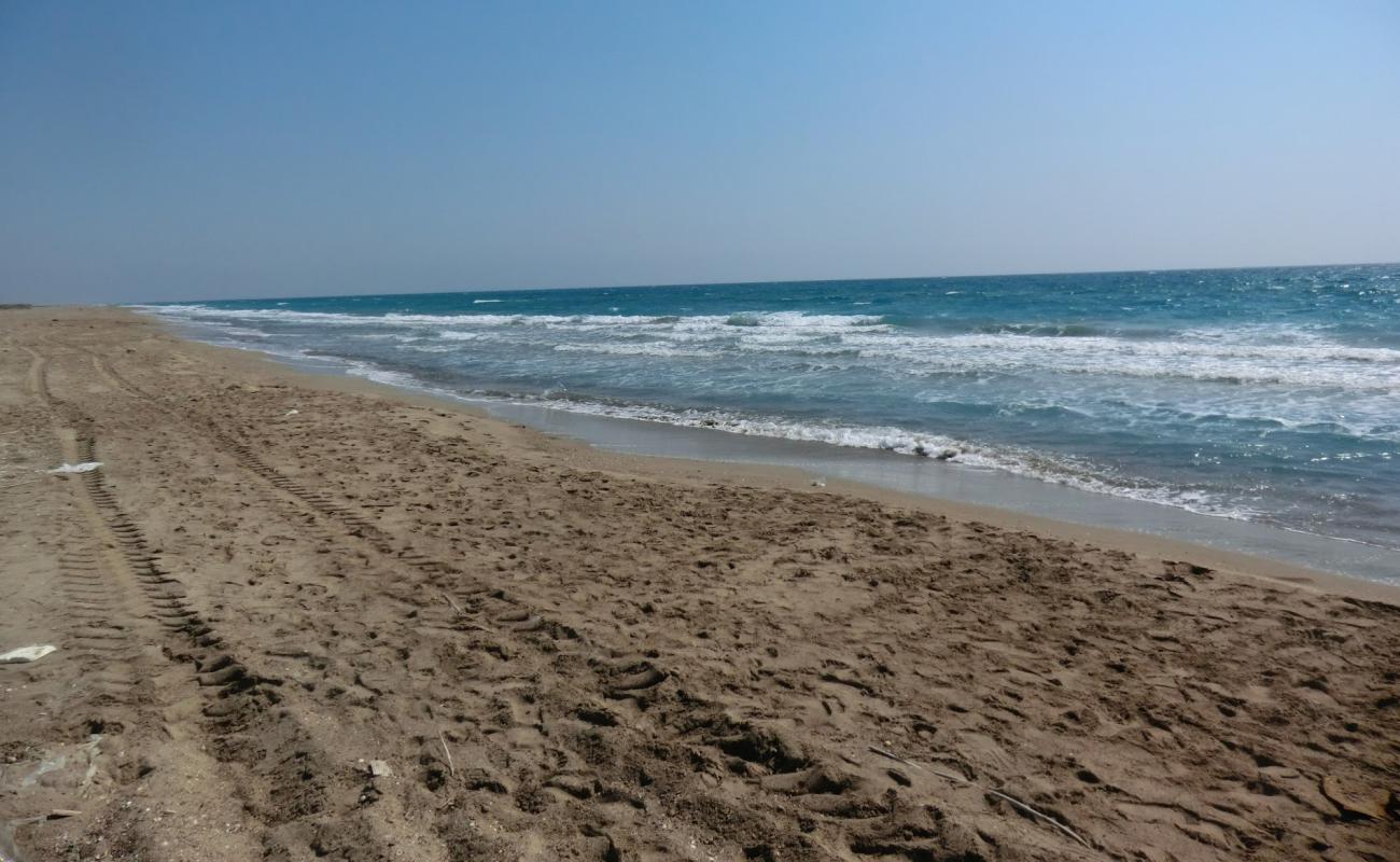 Photo de Tasucu beach II avec sable lumineux de surface