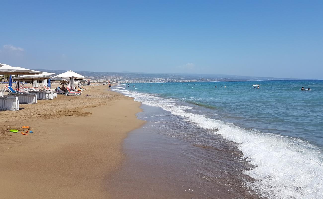 Photo de Winses beach avec sable beige de surface