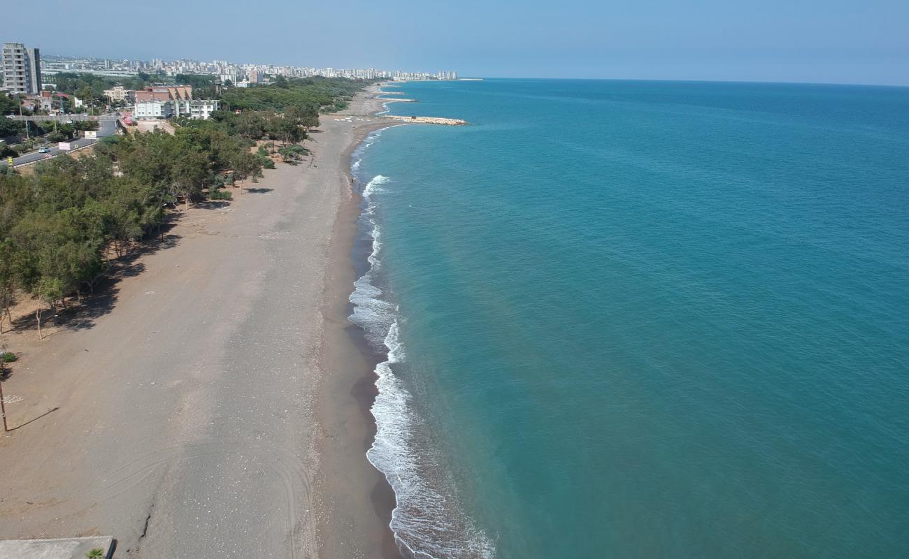 Photo de KocaHasanli beach avec sable beige de surface