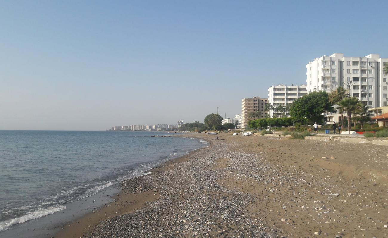 Photo de Tece Sahil beach avec sable beige de surface