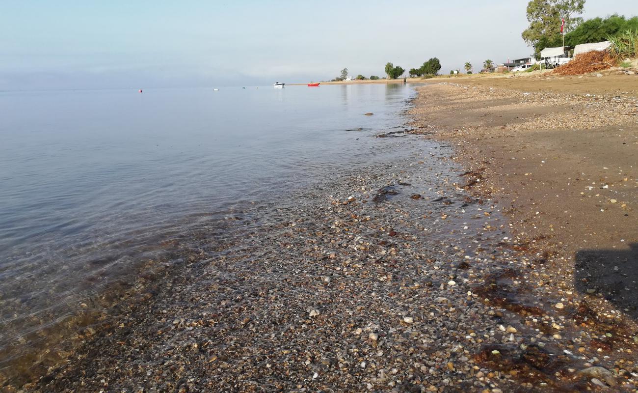 Photo de Cukurova beach avec sable beige de surface