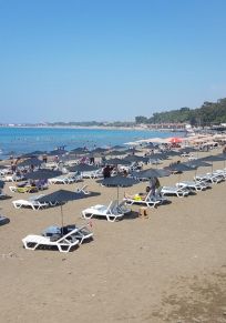 Arsuz