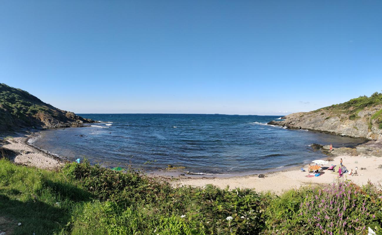 Photo de Sebastian beach avec sable lumineux de surface