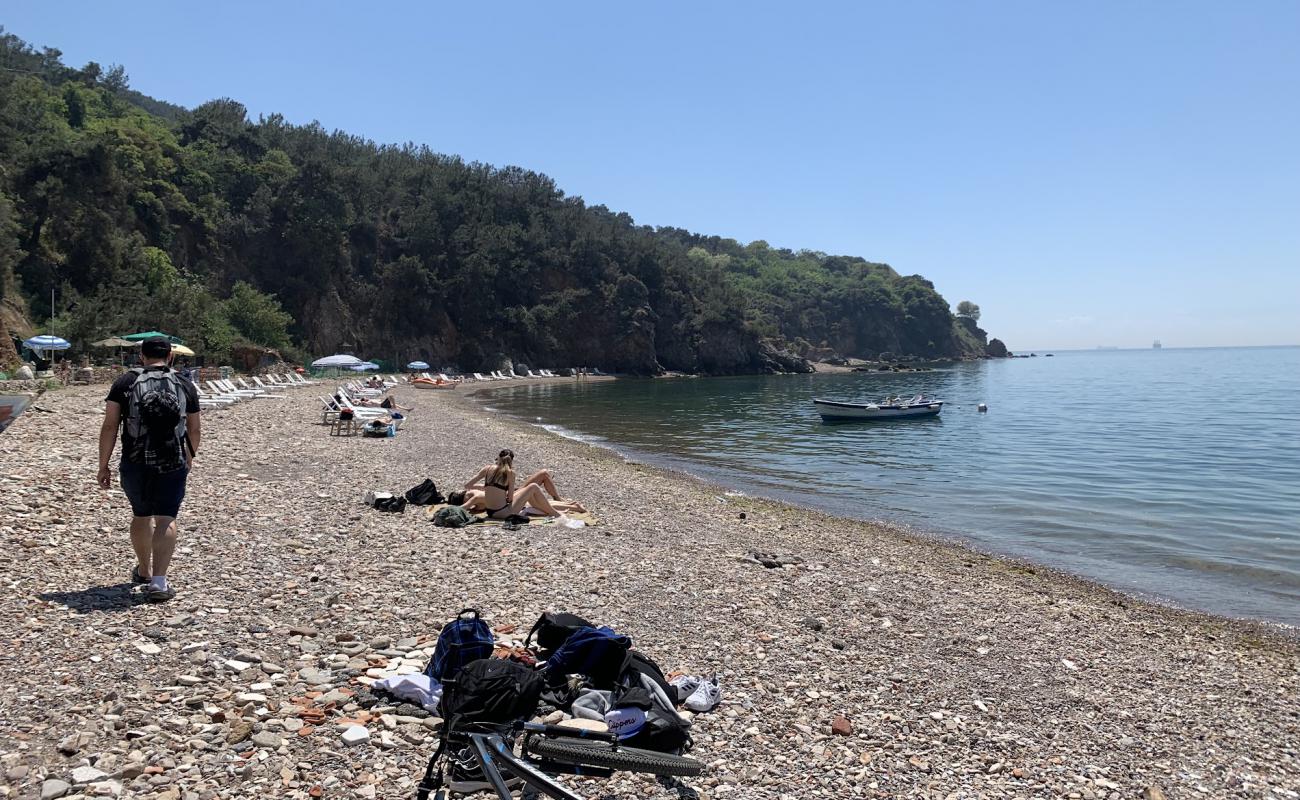 Photo de Madam Marta Koyu Beach avec caillou clair de surface