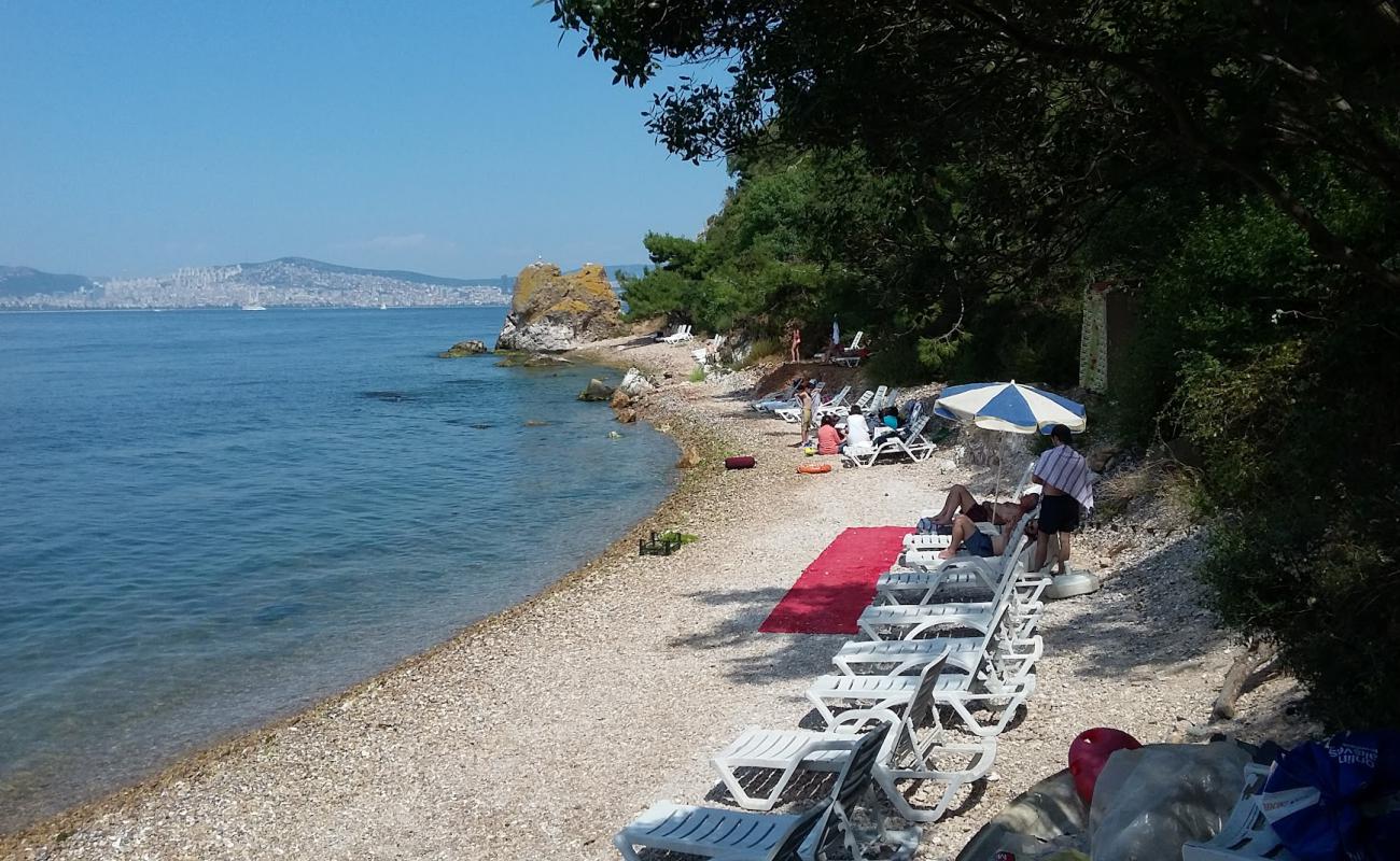 Photo de Burgazada Dusler Sahili, Beach and Camping Site avec galets beige de surface