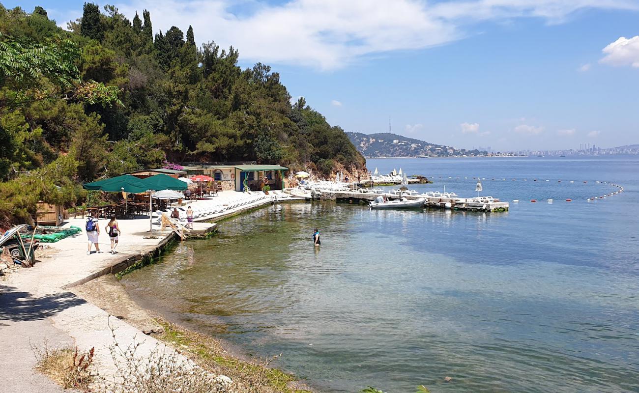 Photo de Mimi koy Beach avec surface béton pavée de surface