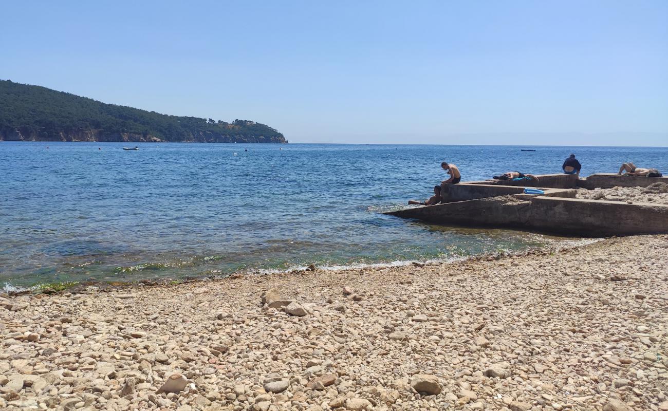 Photo de Burgazada Halk Plaji avec galets gris de surface