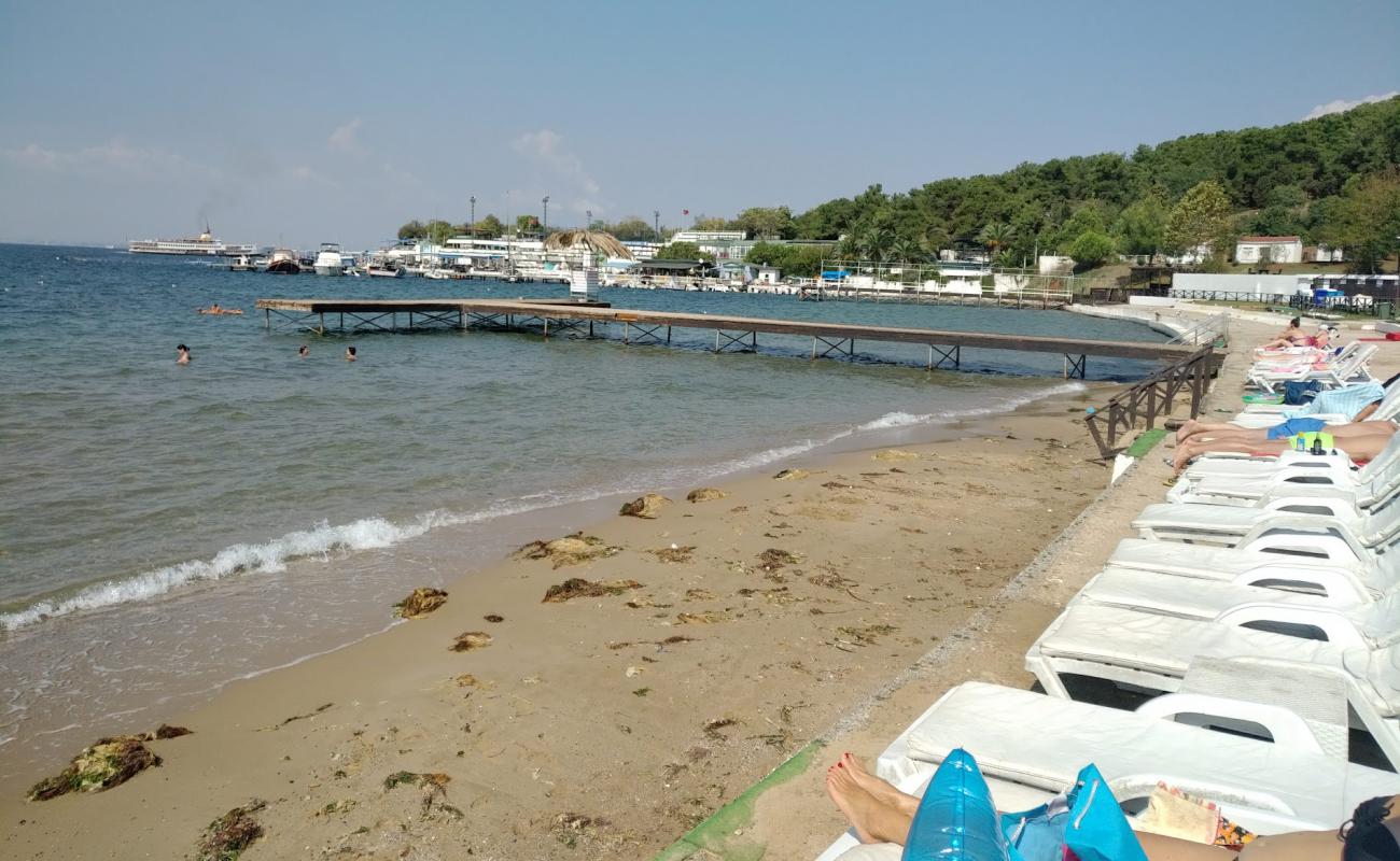Photo de Aqua Green Beach Heybeliada avec sable beige de surface