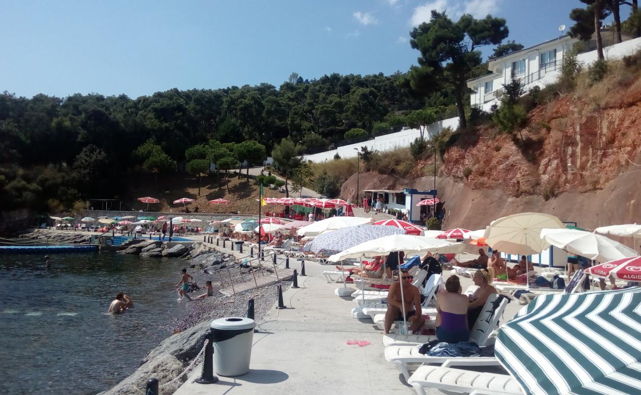 Photo de Heybeliada Beach avec surface béton pavée de surface