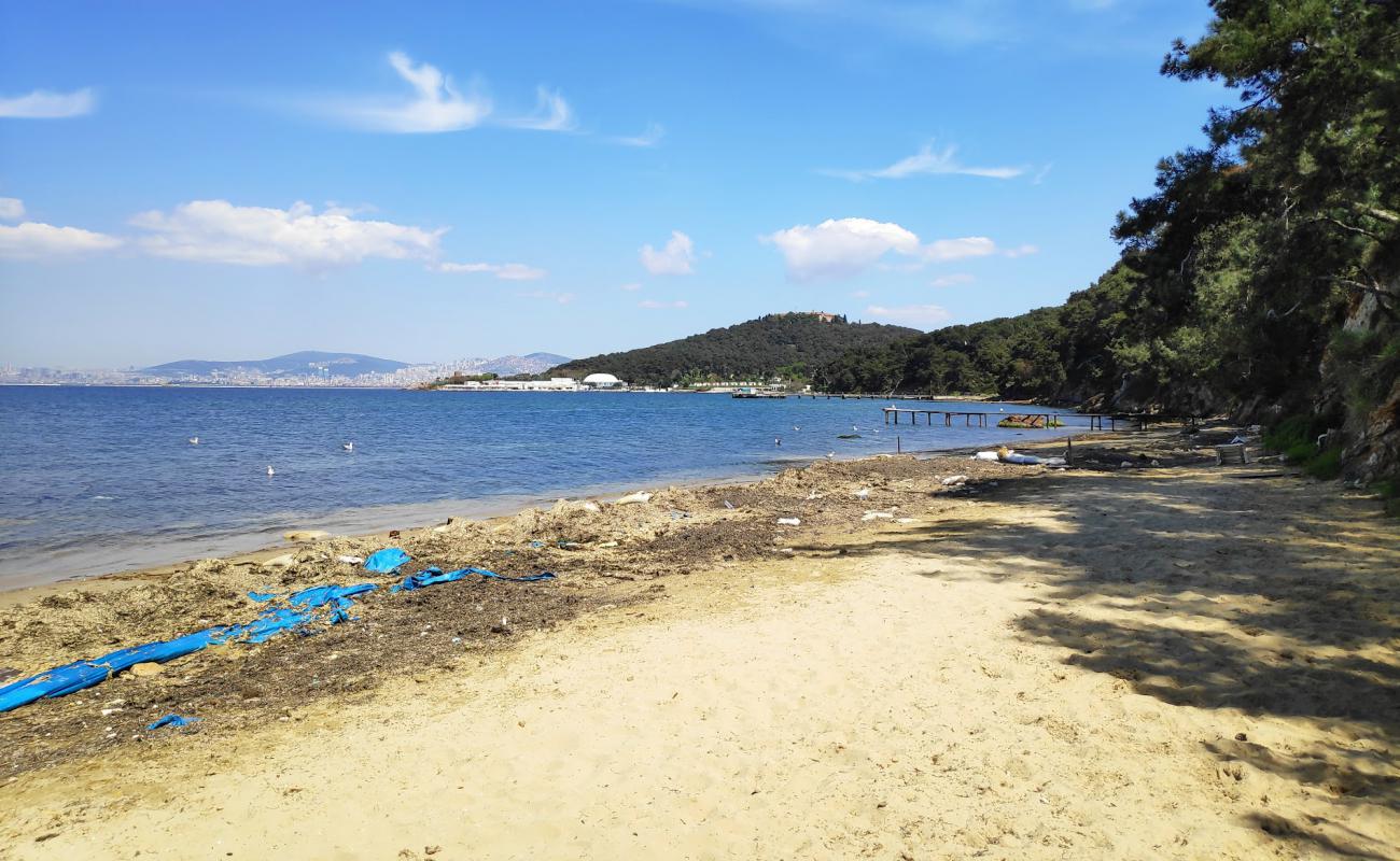 Photo de Kablo Blue Beach & Camping avec sable lumineux de surface